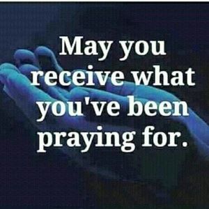 Meet your Posher, Shasha